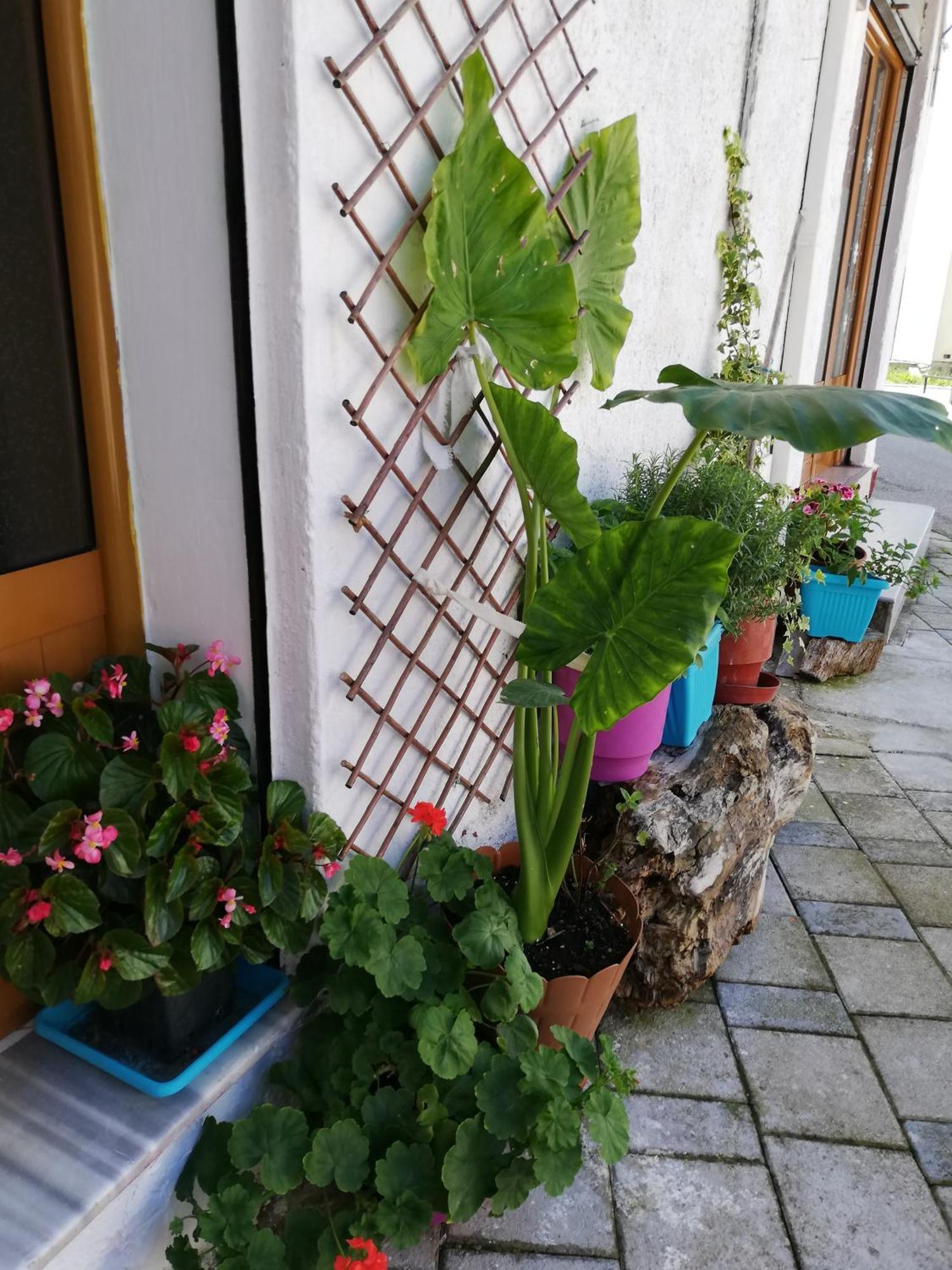 A Pousada Casa Mia Vlorë Exterior foto
